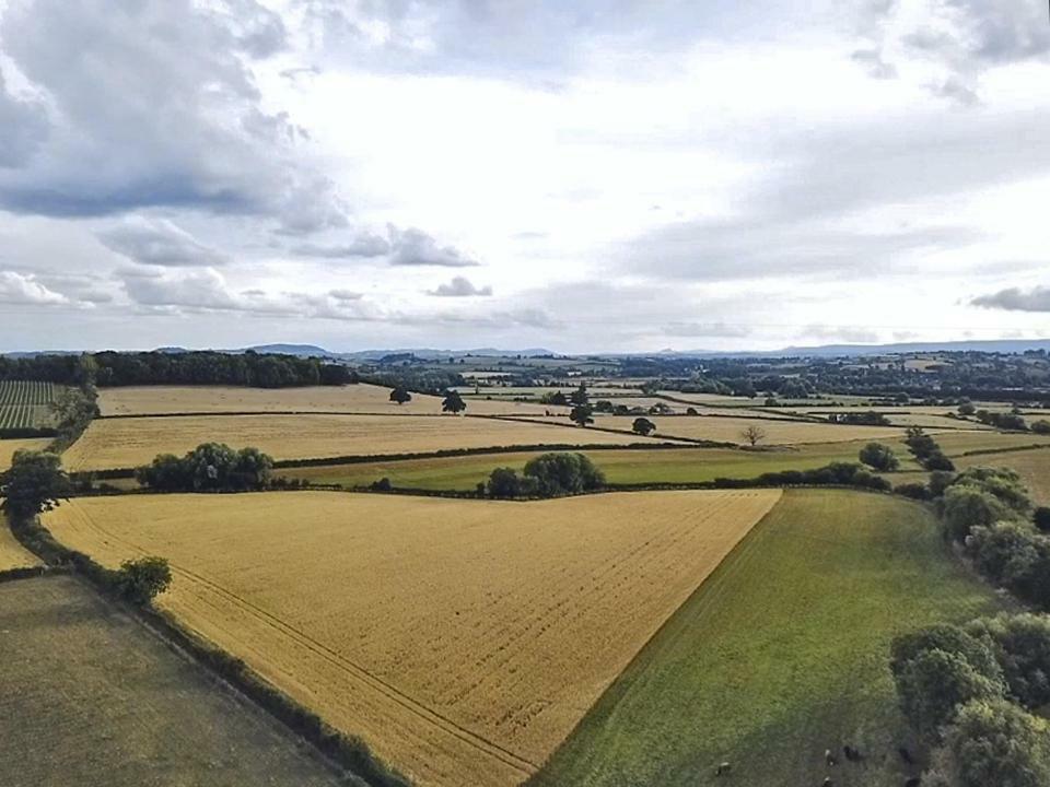 The Old Farm House ヘレフォード エクステリア 写真